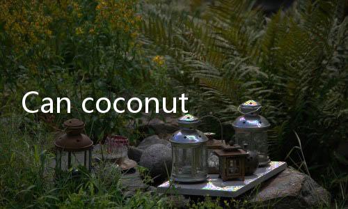 【Best Casino Offers India】Can coconut meat be eaten if it has been stored in the refrigerator for 5 days?