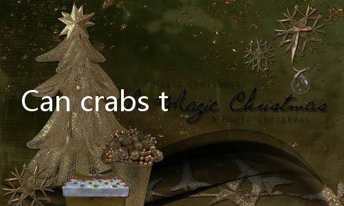 【Top Online Casino Games India】Can crabs that spit bubbles still be eaten?